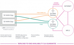 Next Gen SD-WAN Webinar: Learn About Flexible Network and ...