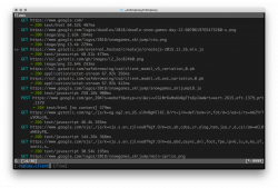 mitmproxy - an interactive HTTPS proxy
