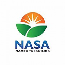 National Super Alliance - Wikipedia