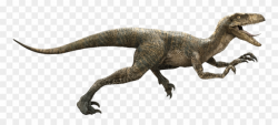 Raptor Dinosaur Png - Jurassic World Velociraptor Clipart (#1346175 ...