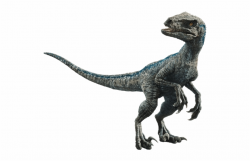 Jurassic Park Wiki - Dinosaur Blue Jurassic World Free PNG Images ...