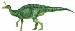 Free Realistic Dinosaur Cliparts, Download Free Clip Art, Free Clip ...