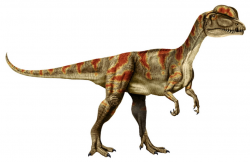 Free Realistic Dinosaur Cliparts, Download Free Clip Art, Free Clip ...