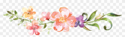 Divider Clipart Flower - Watercolor Flower Divider, HD Png ...