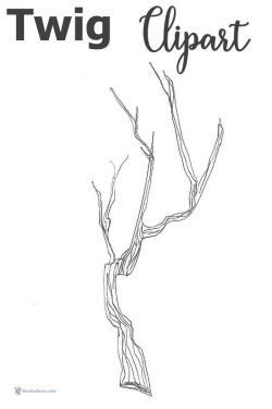 Twig Clipart; hand drawn dividers to decorate your blog or books