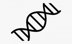 Download for free 10 PNG Dna clipart structure top images at ...