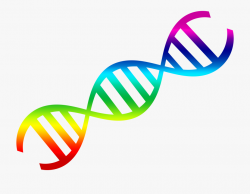 Dna Clipart Backgrounds Compatible Wallpaper X - Dna Clipart ...