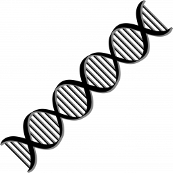 Dna Clipart | Free download best Dna Clipart on ClipArtMag.com
