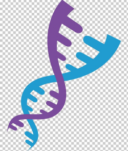 Dna clipart biology, Dna biology Transparent FREE for ...