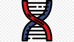 Dna Structure Clipart molecular biology 5 - 900 X 520 Free ...