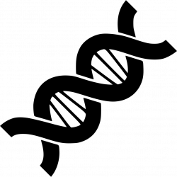 Dna clipart dna structure, Dna dna structure Transparent ...