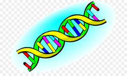 Science Cartoon clipart - Science, Dna, transparent clip art