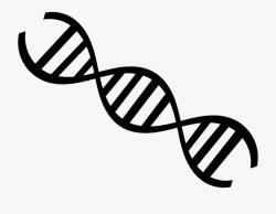 Dna Clipart Black And White - Dna Strand Black And White ...