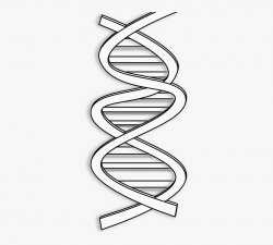 Clipart Info - Dna Black And White Clipart , Transparent ...