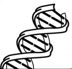 Free DNA Cliparts, Download Free Clip Art, Free Clip Art on ...