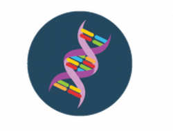 Science Icons - Yellow and Blue - DNA | Clipart | PBS ...