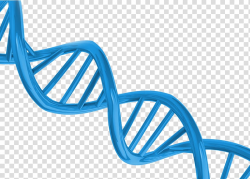 Download for free 10 PNG Dna clipart blue top images at ...