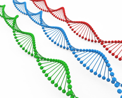 Red Blue And Green Dna Structure Stock Photo | PowerPoint ...