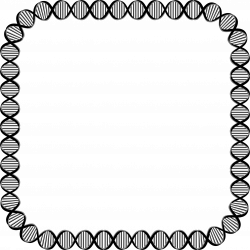 Dna border clipart - Clip Art Library