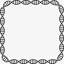 Black And White Frame clipart - Dna, Circle, Rectangle ...