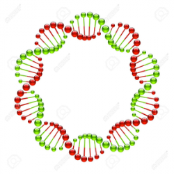 Dna Border Clipart | Free Images at Clker.com - vector clip ...
