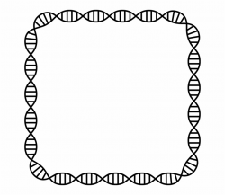 Dna Structure Clipart Dna Border - Border Design About ...