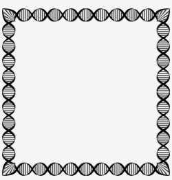 Transparent Square Border Clip Art - Biology Clipart Dna ...