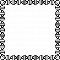 Free Biology Borders Cliparts, Download Free Clip Art, Free ...