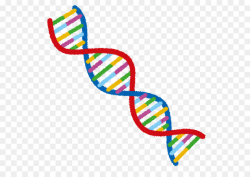 Engineering Cartoon clipart - Dna, transparent clip art