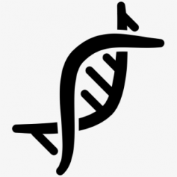 Dna Png - Chromosome Png , Transparent Cartoon, Free ...
