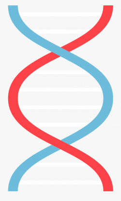 Dna Png Cute - Dna Vector Svg #1003008 - Free Cliparts on ...