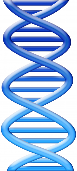 Dna cute clipart - ClipartBarn