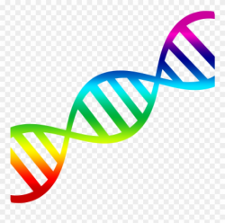Dna Clip Art Dna Clipart 15 Clip Arts For Free Download ...
