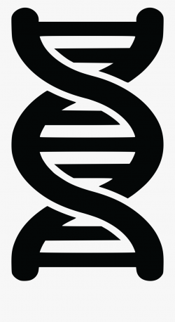 Dna Spiral Clipart 6 By Louis - Double Helix Black And White ...