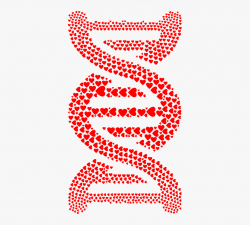 Dna Clipart Pink - Dna Double Helix Abstract #2175953 - Free ...