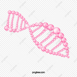 Pink Dna Molecular Structure Cosmetic Elements, Dna ...