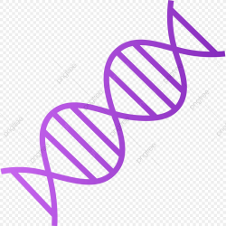 Download for free 10 PNG Dna clipart purple top images at ...