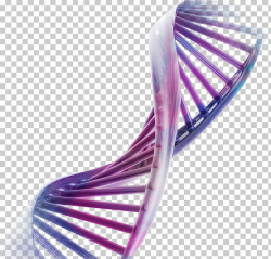 Recombinant DNA Desktop Genetics Chromosome, DNA, purple and ...