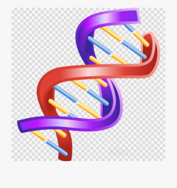 Download for free 10 PNG Dna clipart purple top images at ...