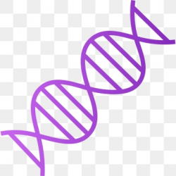 Dna Png, Vector, PSD, and Clipart With Transparent ...