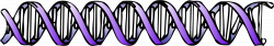 Free DNA Cliparts, Download Free Clip Art, Free Clip Art on ...