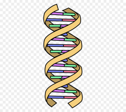Design Background clipart - Dna, Genetics, Diagram ...