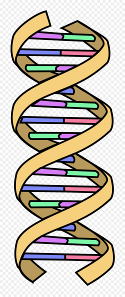 Design Background clipart - Dna, Diagram, Drawing ...