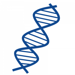 Free DNA Cliparts, Download Free Clip Art, Free Clip Art on ...