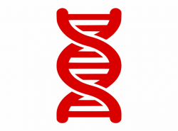 The Double Helix - Dna Strand Double Helix Clipart ...