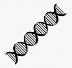 Dna Png Free Download - Dna Helix Transparent Background ...