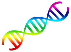 DNA PNG Images Transparent Free Download | PNGMart.com