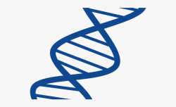 Dna Structure Clipart Powerpoint - Dna Clipart No Background ...