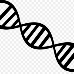 Dna Nucleic Acid Double Helix Genetics Clip Art – Others Png ...