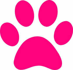 Dog bone pink print dog paw print transparent background paw print ...